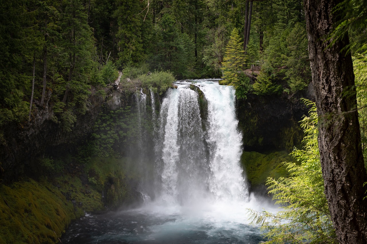 Best Practices for Photographing Waterfalls and Rivers